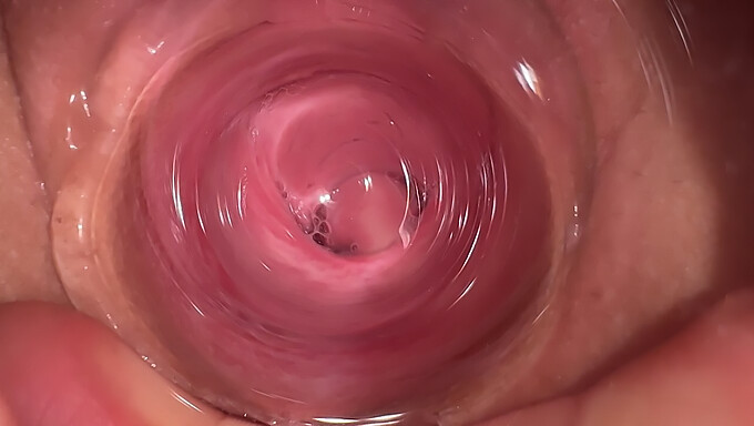 Pipe Et Creampie Avec Sa Demi-Sœur De 18 Ans